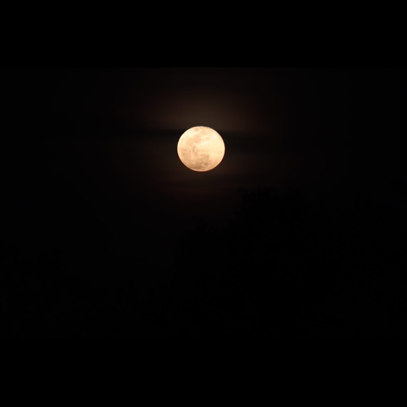 Meet your Posher, David - Picture 1 of 1